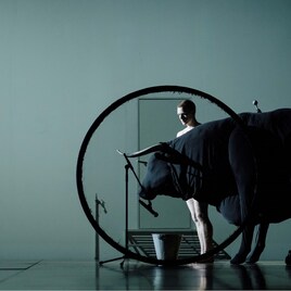 ディミトリス・パパイオアヌーが新作「TRANSVERSE ORIENTATION」で3年ぶりに来日