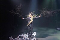 「フリー / アナウンサー」より。