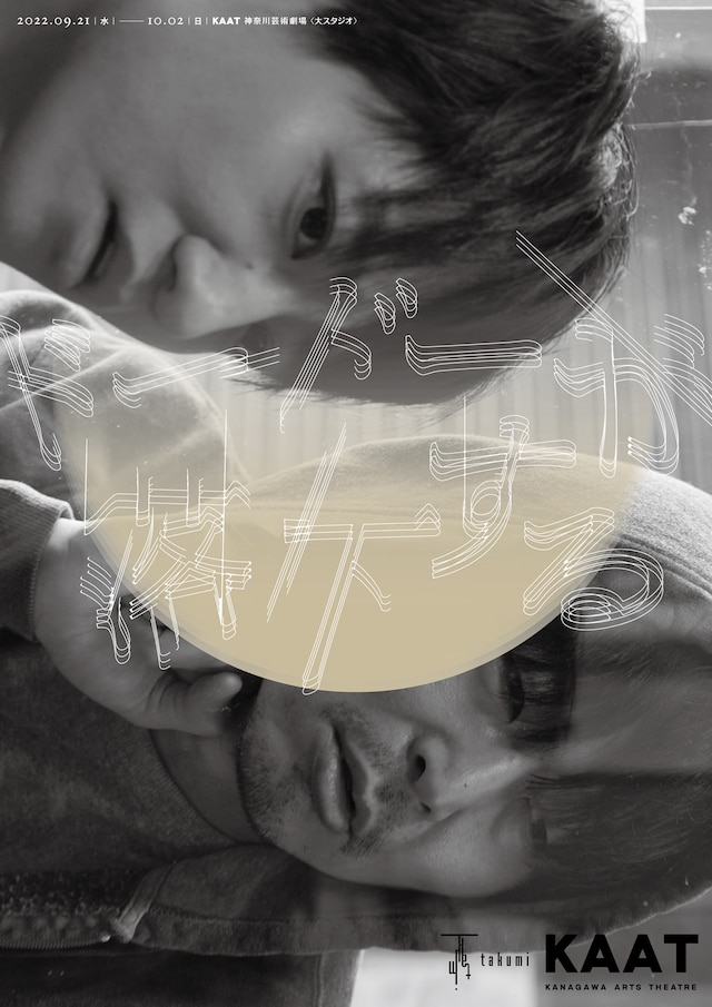 劇団た組「ドードーが落下する」ビジュアル