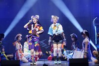 「舞台『ネコにマタタビ、アキバにレインボウ』～この夏、虹の彼方へ旅にでる～」より。