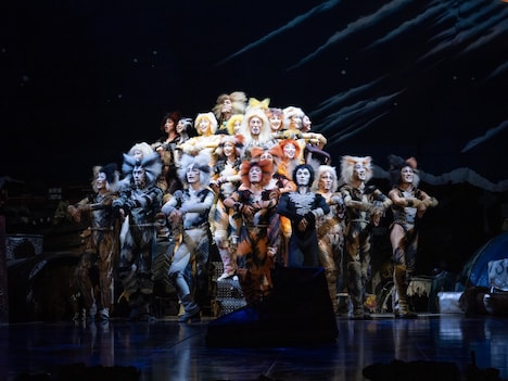 ミュージカル「キャッツ」愛知・名古屋四季劇場公演より。(撮影:堀勝志古)