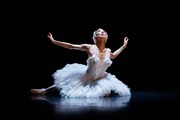 ダンス・ダブルビル「パフォーミングアーツ・セレクション 2022」「瀕死の白鳥」より。(提供:DanceBaseYokohama)(c)Naoshi HATORI