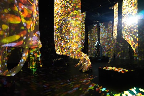 Nibroll「距離のない旅」より。