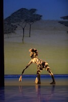 「新国立劇場バレエ団 こどものためのバレエ劇場 2022「ペンギン・カフェ」より。（撮影：鹿摩隆司）