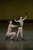 「新国立劇場バレエ団 こどものためのバレエ劇場 2022「ペンギン・カフェ」より。（撮影：鹿摩隆司）