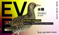 地点 アンダースロー イヴ・シリーズ 2022「水鶏」ビジュアル