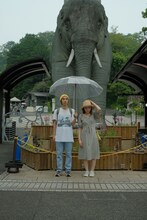 Pityman「ぞうをみにくる」ビジュアル