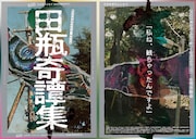 劇団肋骨蜜柑同好会 特別企画 舞台「田瓶奇譚集（たがめきたんしゅう）」チラシ表
