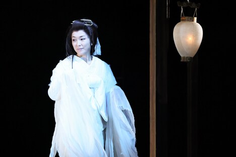 こまつ座 第143回公演「頭痛肩こり樋口一葉」より。（撮影：宮川舞子）