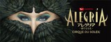 シルク・ドゥ・ソレイユ「アレグリア-新たなる光-」日本公演ビジュアル