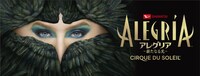 シルク・ドゥ・ソレイユ「アレグリア-新たなる光-」日本公演ビジュアル