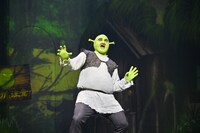 「シュレック・ザ・ミュージカル」トライアウト公演より。（撮影：阿部章仁）