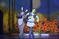 「シュレック・ザ・ミュージカル」トライアウト公演より。（撮影：阿部章仁）