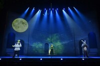 「シュレック・ザ・ミュージカル」トライアウト公演より。（撮影：阿部章仁）