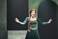 「シュレック・ザ・ミュージカル」トライアウト公演より。（撮影：阿部章仁）