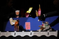 コンドルズ東京公演スペシャル2022「Blowin' In The Wind」より。