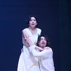 木村達成&須賀健太出演の舞台「血の婚礼」開幕、杉原邦生「ぜひ劇場でともに体感して」