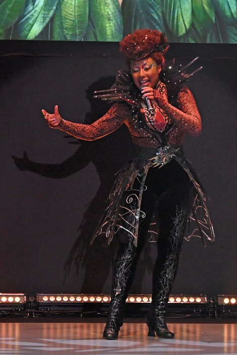 公演のテーマ曲「アレグリア」を歌唱するシンガー。