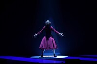 ブロードウェイ・ミュージカル「バイ・バイ・バーディー」より。（撮影：源賀津己）