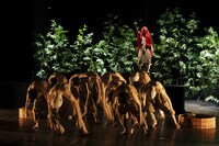 大駱駝艦 壺中天 舞踏公演 田村一行「舞踏 天狗藝術論」より。（撮影：熊谷直子）