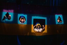 妖精大図鑑の過去の公演より。