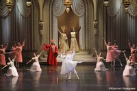 スターダンサーズ・バレエ団公演 バレエ「ドラゴンクエスト」より。