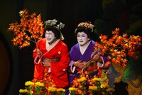 花組芝居 創立35周年記念公演 第2弾「鹿鳴館」コロッケ組より。