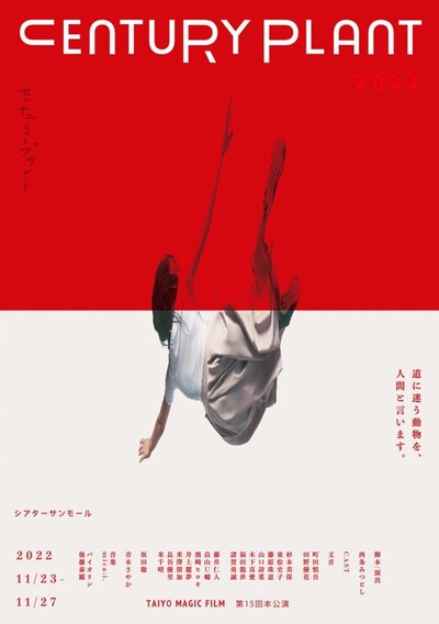 TAIYO MAGIC FILM 第15回公演「センチュリープラント2022チラシ