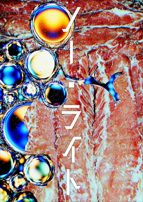 地点「ノー・ライト」チラシ表