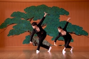 K-BALLET Opto「プラスチック」制作発表会より、「ビニール傘小町」パフォーマンスの様子。(c)Hajime Watanabe