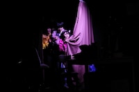 猿博打 第5回公演「明烏-akegarasu-」より。