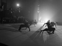 lal banshees「幽憬」より。（撮影：大洞博靖）