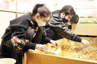 金魚すくいに挑戦する土屋太鳳（左）、尾上松也（右）。