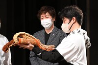 「King & Princeる。」より。(c)日本テレビ