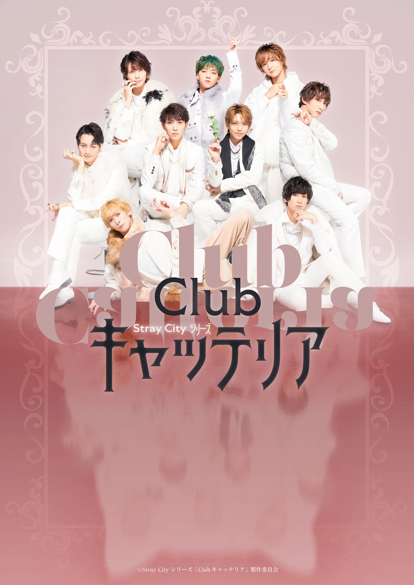 Stray City シリーズ「Clubキャッテリア」ビジュアル