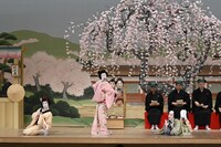 「三月花形歌舞伎」Aプロより。(c)松竹