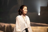 「聖なる怪物」より。