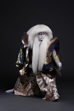 尾上松緑扮する親獅子の精。(c)松竹