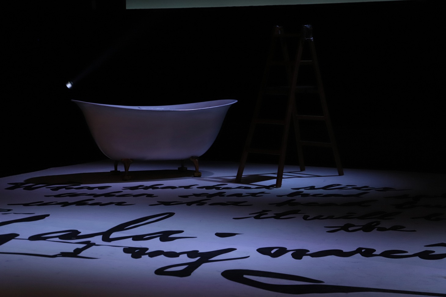 座・高円寺 春の劇場30 日本劇作家協会プログラム OFFICE SHIKA PRODUCE「ダリとガラ」より。（撮影：和田咲子）