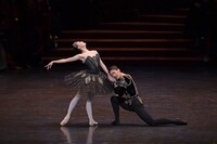 新国立劇場バレエ団「白鳥の湖」より。（撮影：鹿摩隆司）