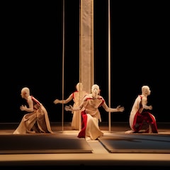 山海塾の新作「TOTEM 真空と高み」が開幕、天児牛大「ようやく提出することができました」