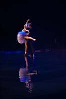 「SWAN LAKE ON WATER～ついに、ほんとうの水を得た『白鳥の湖』」より。(c)Leandro Facundo