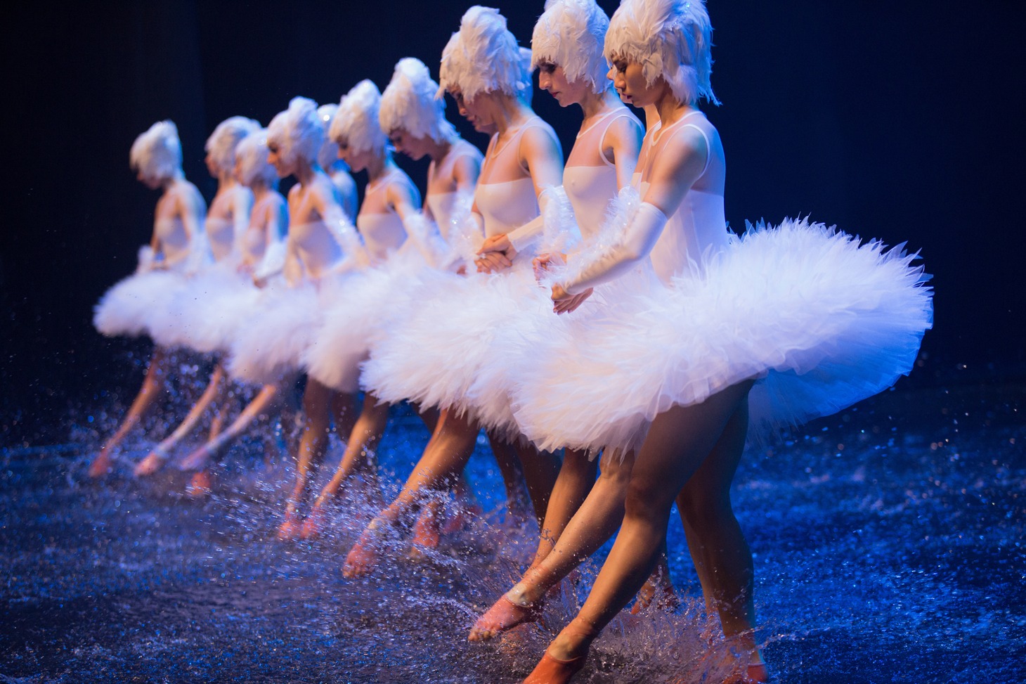 「SWAN LAKE ON WATER～ついに、ほんとうの水を得た『白鳥の湖』」より。(c)Leandro Facundo