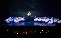 「SWAN LAKE ON WATER～ついに、ほんとうの水を得た『白鳥の湖』」より。(c)Leandro Facundo
