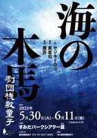 劇団桟敷童子「海の木馬」チラシ表紙
