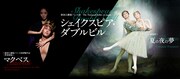 新国立劇場バレエ団「シェイクスピア・ダブルビル」ビジュアル