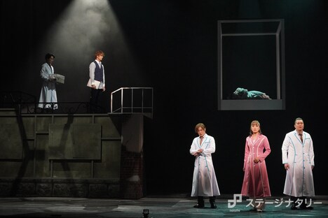 ミュージカル「アルジャーノンに花束を」より。(撮影:岩田えり)