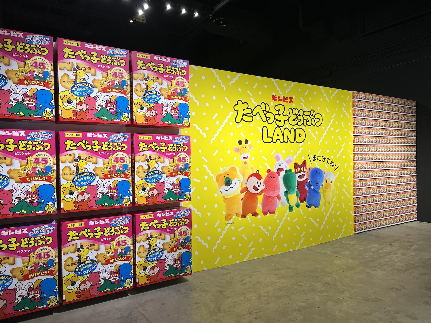 たべっ子どうぶつの世界に没入できる、「たべっ子どうぶつLAND」の様子。