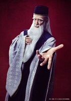 岡幸二郎扮するウォールバーグ・バイガン。