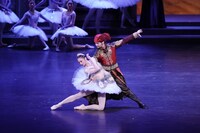 NBAバレエ団「海賊」より。